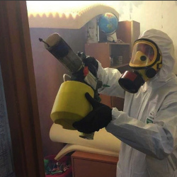 Уничтожение клопов в квартире. Южноуральск